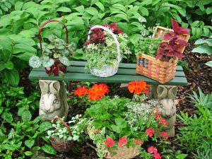 jardineras de bajo costo reciclando objetos 3 300x225 - نگهداری پرورش گل گیاهان آپارتمانی