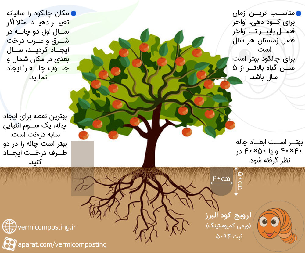 راهنمای چالکود درخت - چالکود چیست و اجرای آن چگونه است